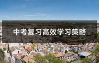 中考备考策略与学习技巧指南