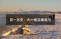 初一历史：大一统汉朝练习
