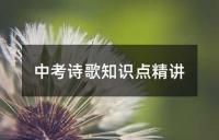 中考诗歌知识点精讲