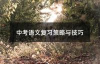 中考历史复习策略与要点解析