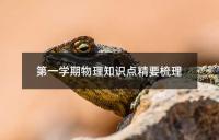 中考物理核心章节知识点精讲