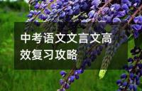 中考语文文言文高效复习攻略