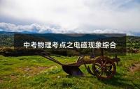 中考物理考点之电磁现象综合
