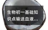 生物初一基础知识点输送血液的泵──心脏