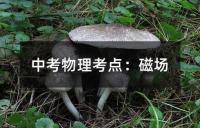 中考物理考点：磁场