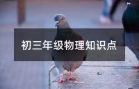 初中八年级物理下册知识点详解与拓展