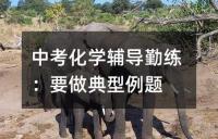 北京中考化学考试说明解读：深入分析与备考策略