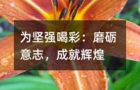 为坚强喝彩：磨砺意志，成就辉煌